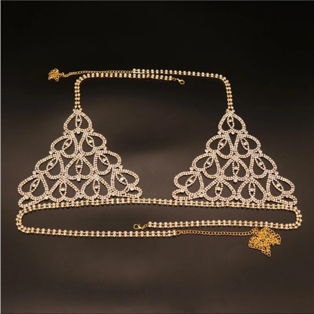 (Last 1) Boho Rhinestone body bra and thong body jewelry - Picture 7 of 10